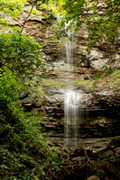 Webster's Waterfalls,2009